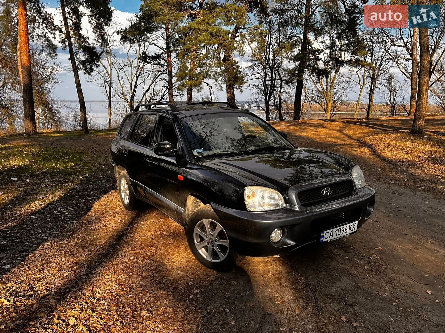 Hyundai Santa FE 2003 VIN KMHSC81BP3U596266 фото оголошення 7 з 12