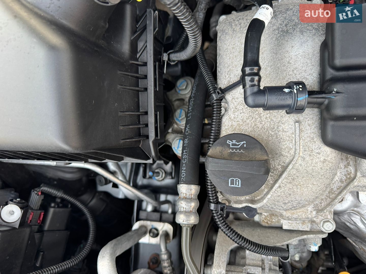 Chevrolet Cobalt 2021 VIN XWBJA69V9MA246446 фото оголошення 59 з 63