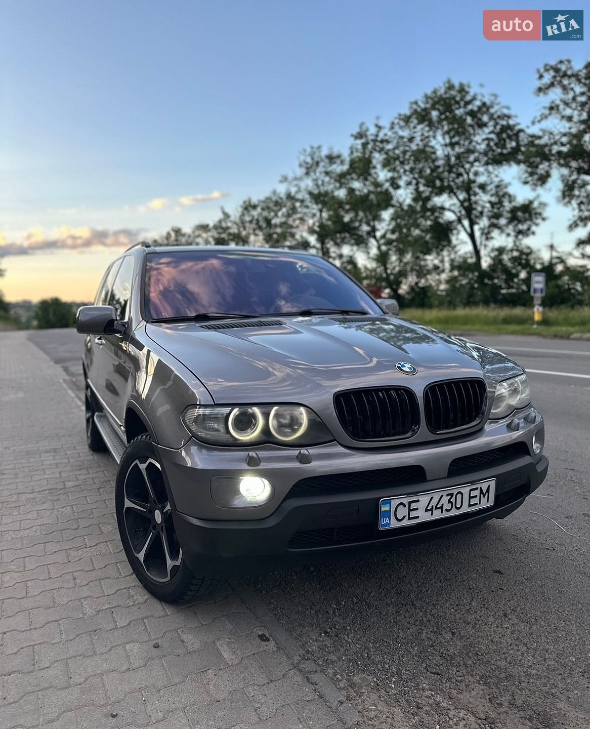 BMW X5 2004 VIN WBAFB71090LV58856 фото оголошення 3 з 48