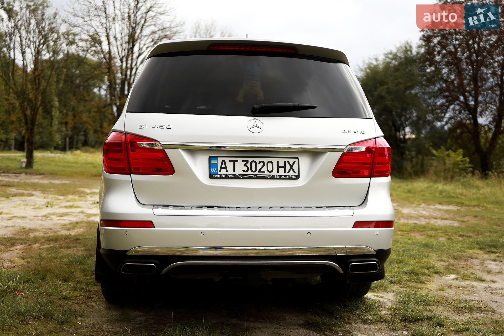 Mercedes-Benz GL-Class 2014 VIN 4JGDF6EE7FA474162 фото оголошення 10 з 22