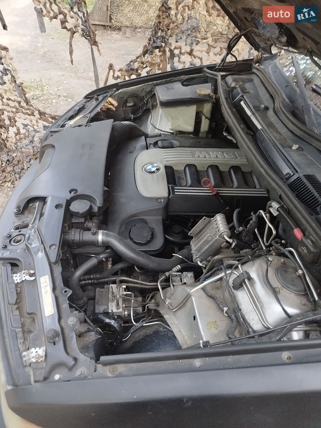 BMW X5 2003 VIN WBAFA71040LU80926 фото оголошення 7 з 8