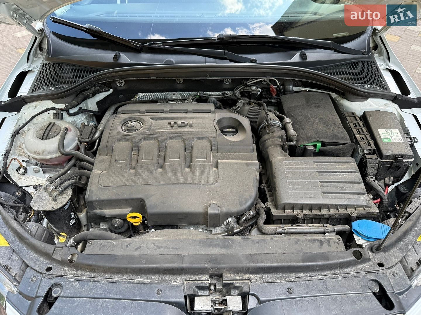 Skoda Octavia 2016 VIN TMBAJ7NE5H0093656 фото оголошення 188 з 195