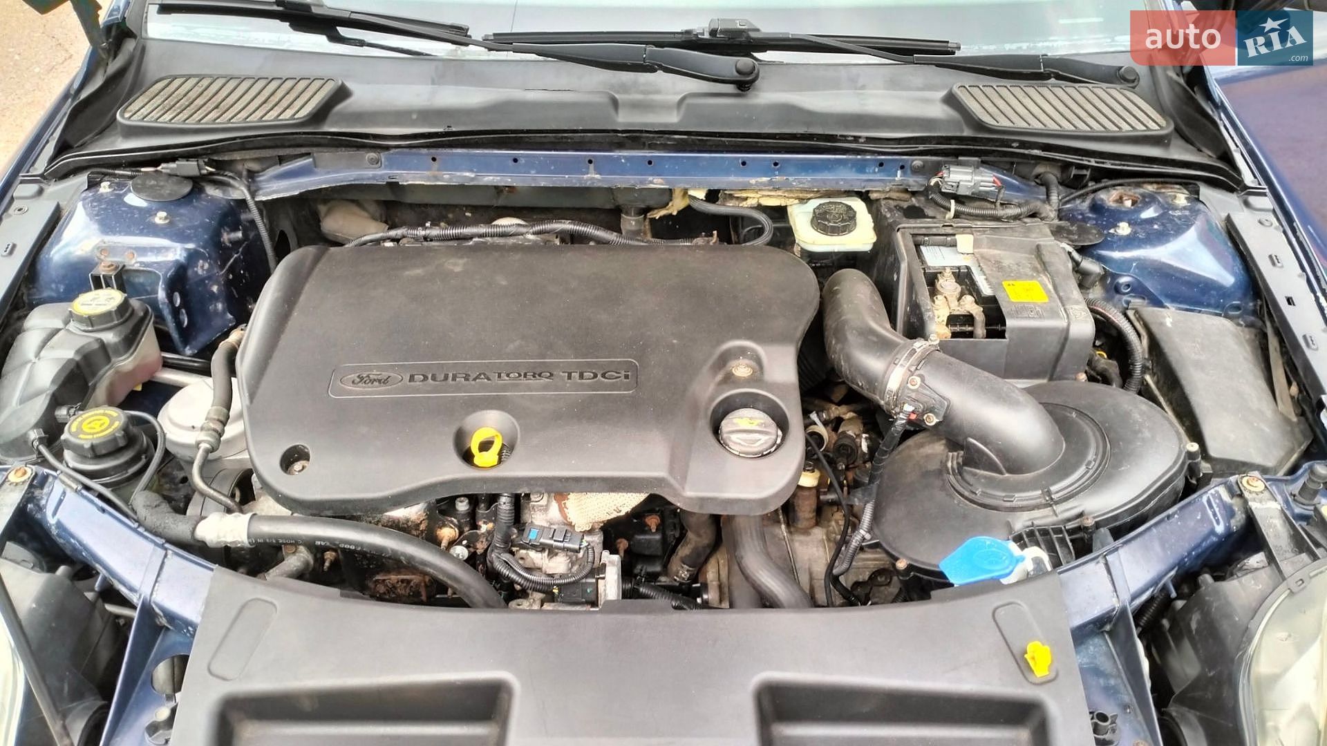 Ford Mondeo 2008 VIN WF0GXXGBBG8K68430 фото оголошення 13 з 13