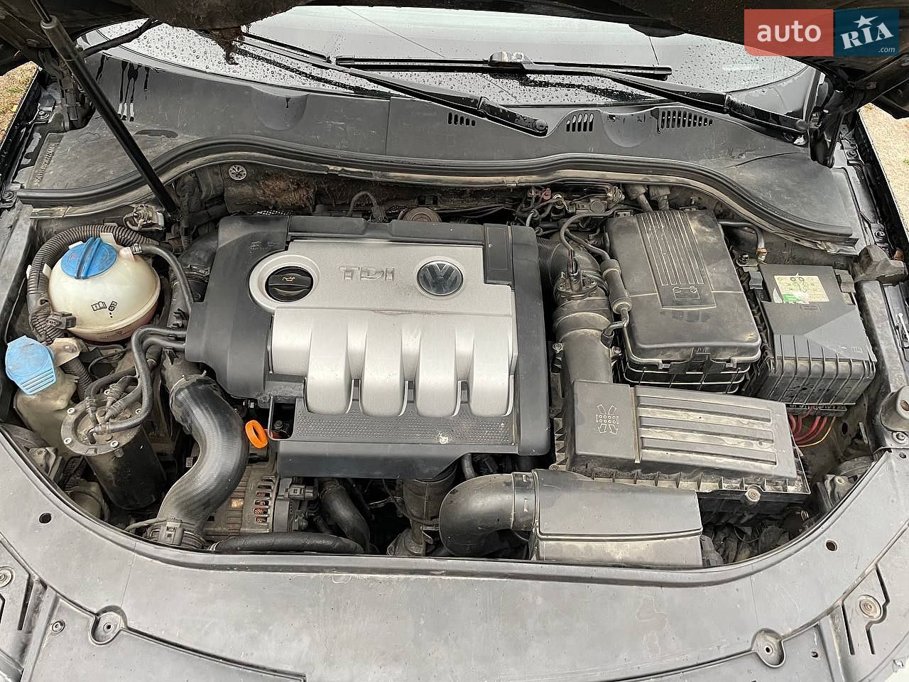 Volkswagen Passat 2005 VIN WVWZZZ3CZ6P144950 фото оголошення 14 з 14