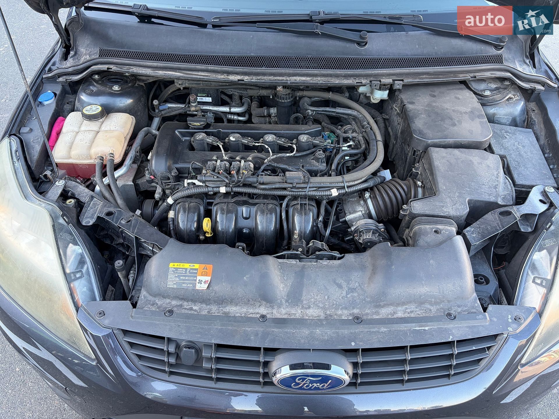 Ford Focus 2008 VIN WF0SXXGCDS8L08510 фото оголошення 33 з 52