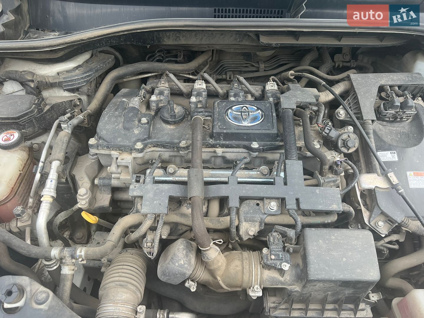Toyota C-HR 2019 VIN NMTKZ3BX00R304936 фото оголошення 15 з 15