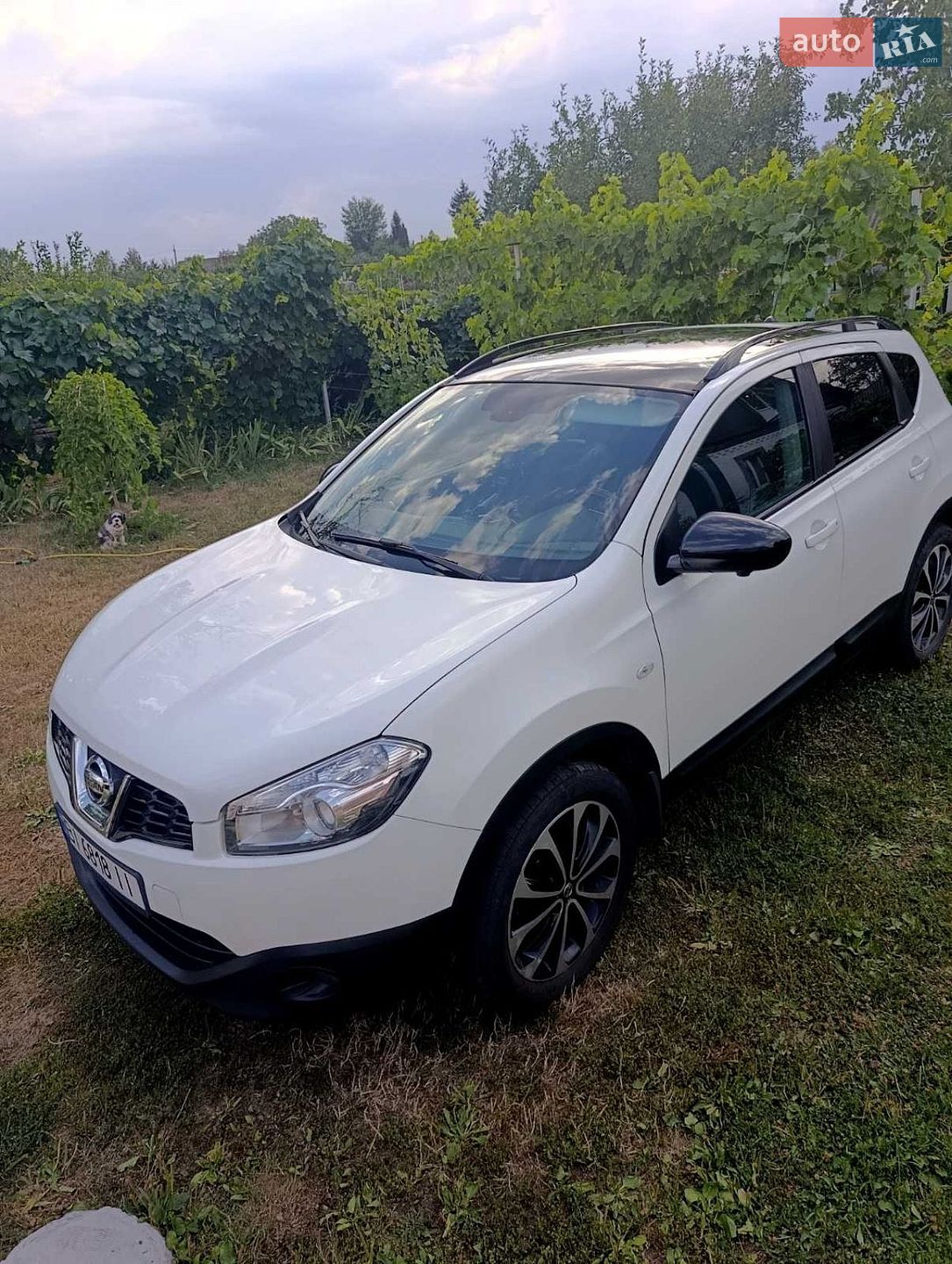 Nissan Qashqai 2013 VIN SJNFCAJ10U2791063 фото оголошення 4 з 21