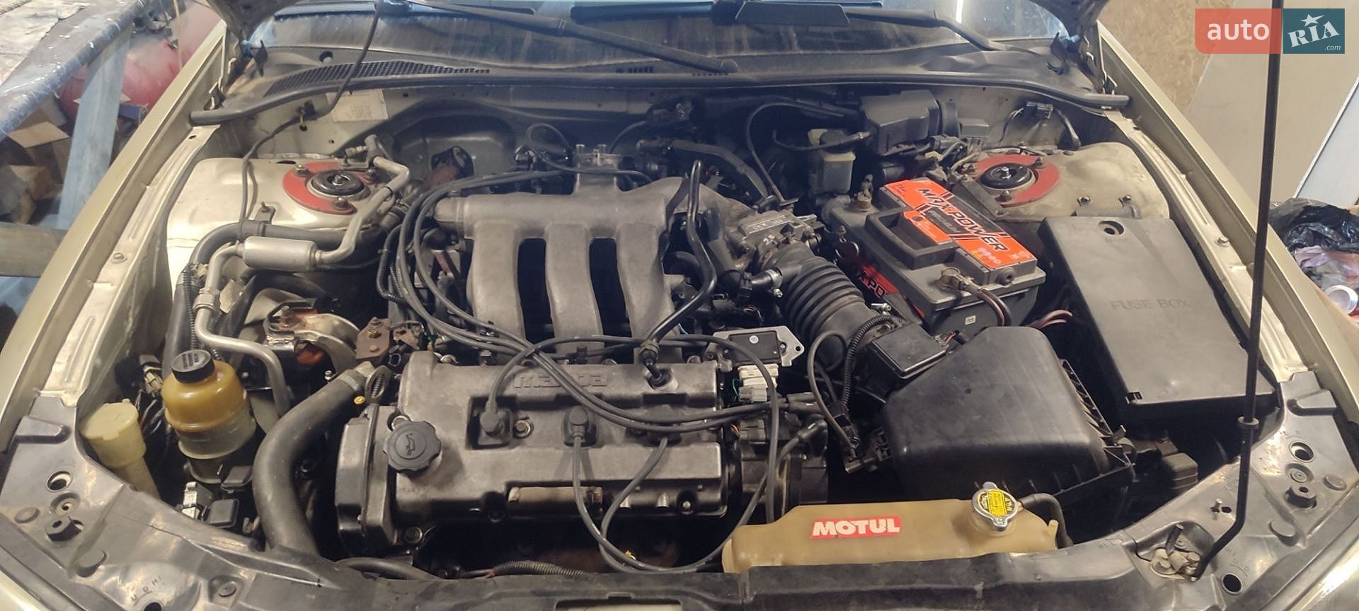 Mazda Xedos 9 2002 VIN JMZTA12L501401568 фото оголошення 3 з 8