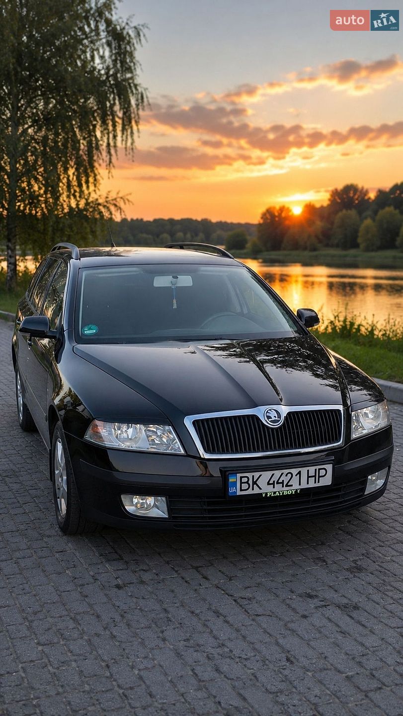 Skoda Octavia 2008 VIN TMBHS61Z982242279 фото оголошення 18 з 20