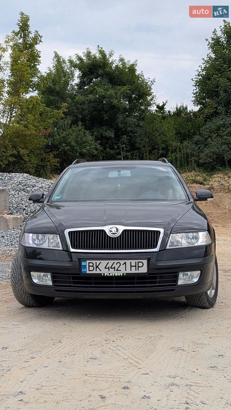 Skoda Octavia 2008 VIN TMBHS61Z982242279 фото оголошення 19 з 20