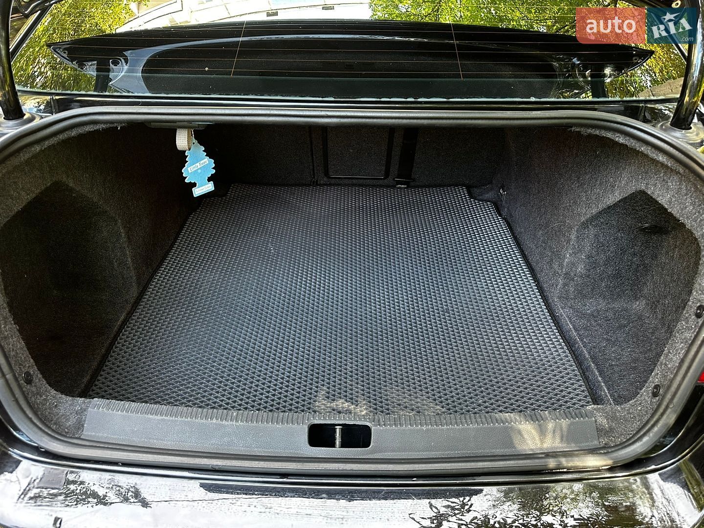 Volkswagen Passat 2009 VIN WVWZZZ3CZAP006184 фото оголошення 22 з 24