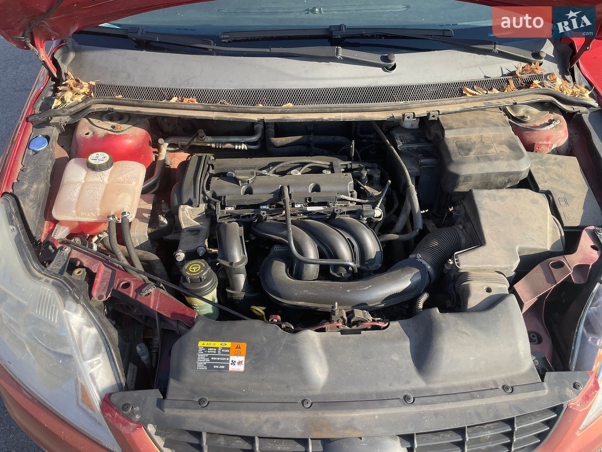 Ford Focus 2008 VIN WF0SXXGCDS8G18635 фото оголошення 19 з 20