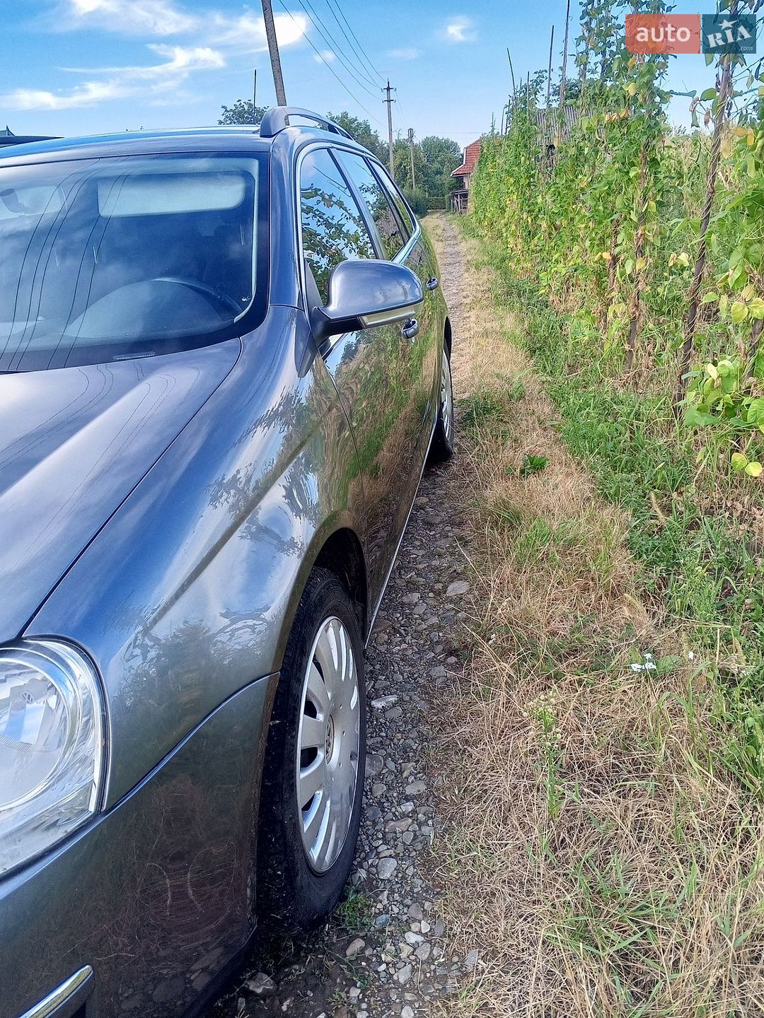 Volkswagen Golf 2009 VIN WVWZZZ1KZ9M336529 фото оголошення 6 з 11