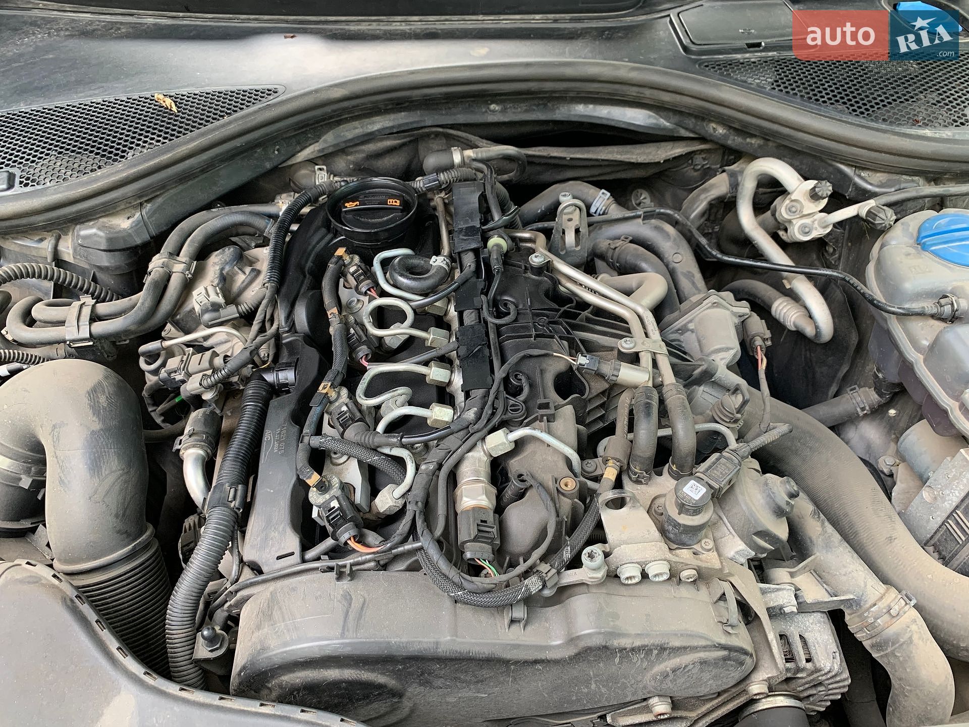 Audi A6 2011 VIN WAUZZZ4G9CN101051 фото оголошення 66 з 84