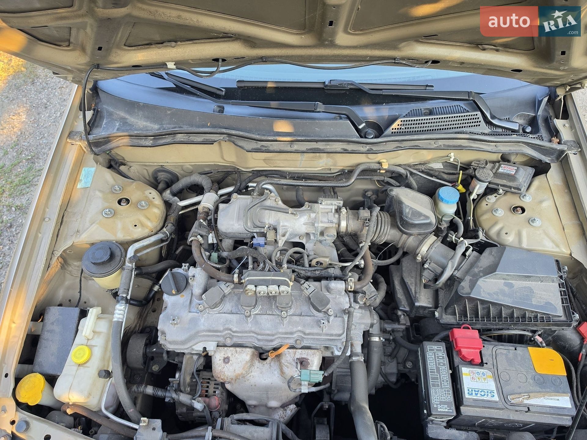 Nissan Almera 2005 VIN SJNBBAN16U2638400 фото оголошення 10 з 11