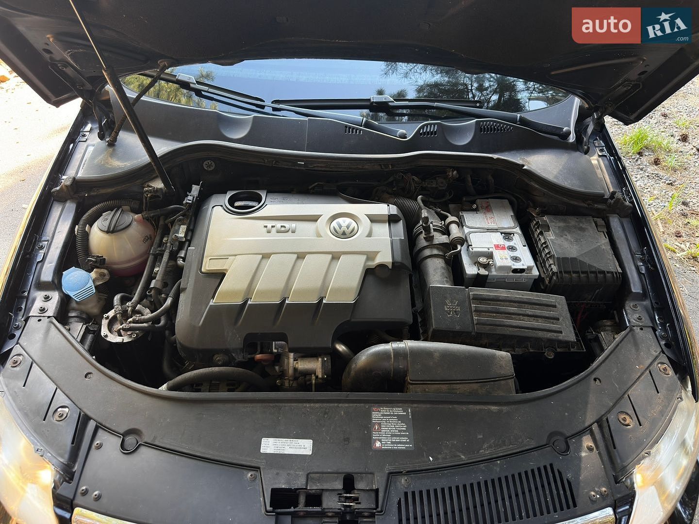 Volkswagen Passat 2008 VIN WVWZZZ3CZ9E072331 фото оголошення 16 з 31