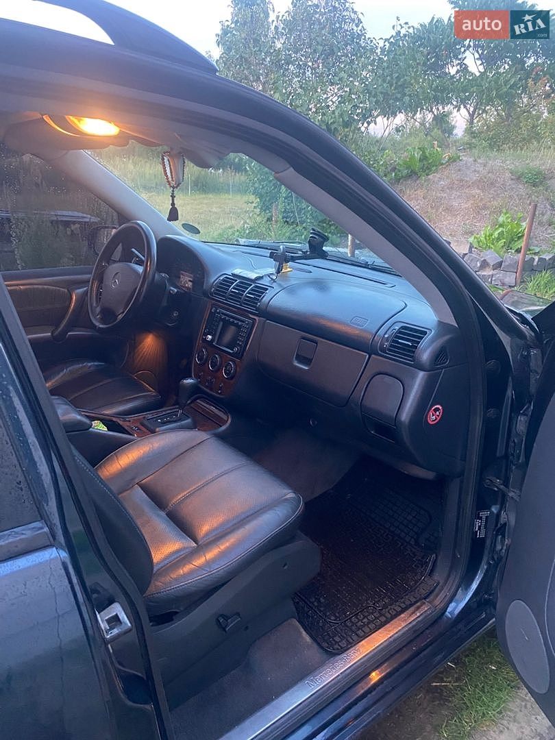 Mercedes-Benz M-Class 2001 VIN WDC1631131X760411 фото оголошення 6 з 14
