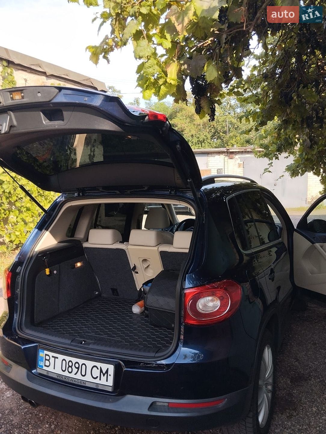Volkswagen Tiguan 2010 VIN WVGAV7AX6BW513694 фото оголошення 8 з 16
