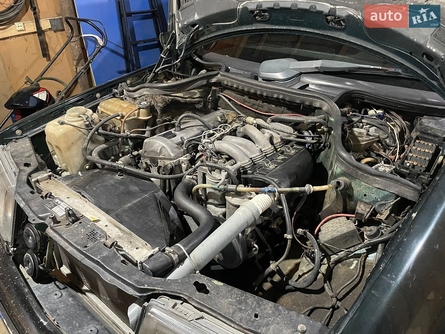 Mercedes-Benz E-Class 1985 VIN WDB1240231A115828 фото оголошення 13 з 13