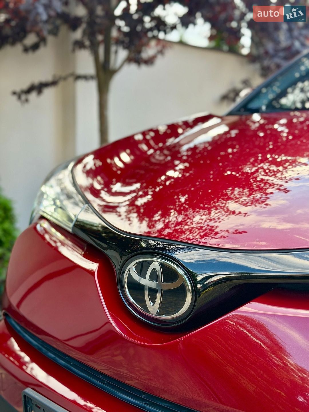 Toyota C-HR 2019 VIN NMTKHMBX6KR074704 фото оголошення 17 з 56