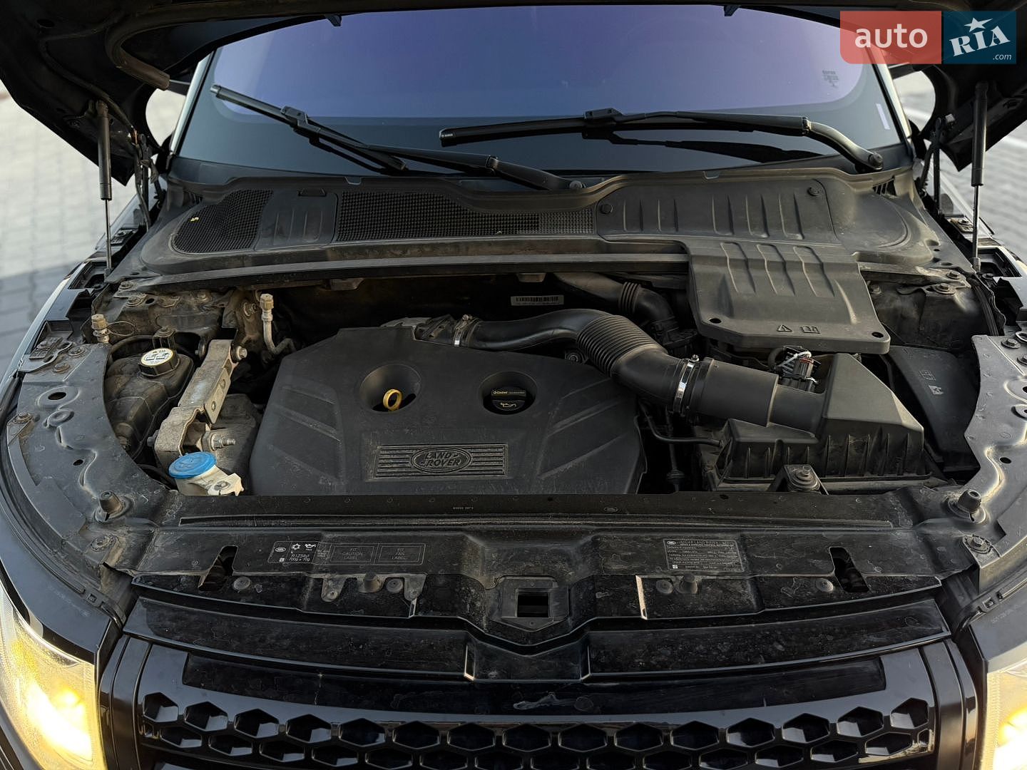 Land Rover Range Rover Evoque 2015 VIN SALVP2BG9GH111528 фото оголошення 69 з 70