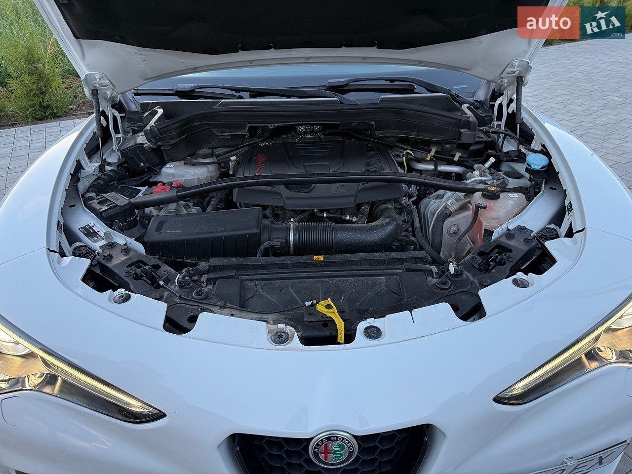 Alfa Romeo Stelvio 2022 VIN ZASPAKBN5N7D38886 фото оголошення 26 з 30