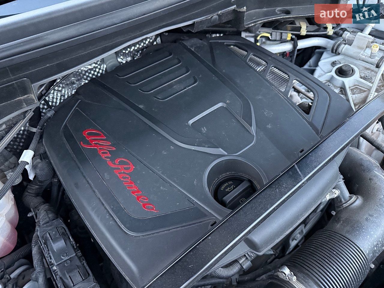 Alfa Romeo Stelvio 2022 VIN ZASPAKBN5N7D38886 фото оголошення 29 з 30
