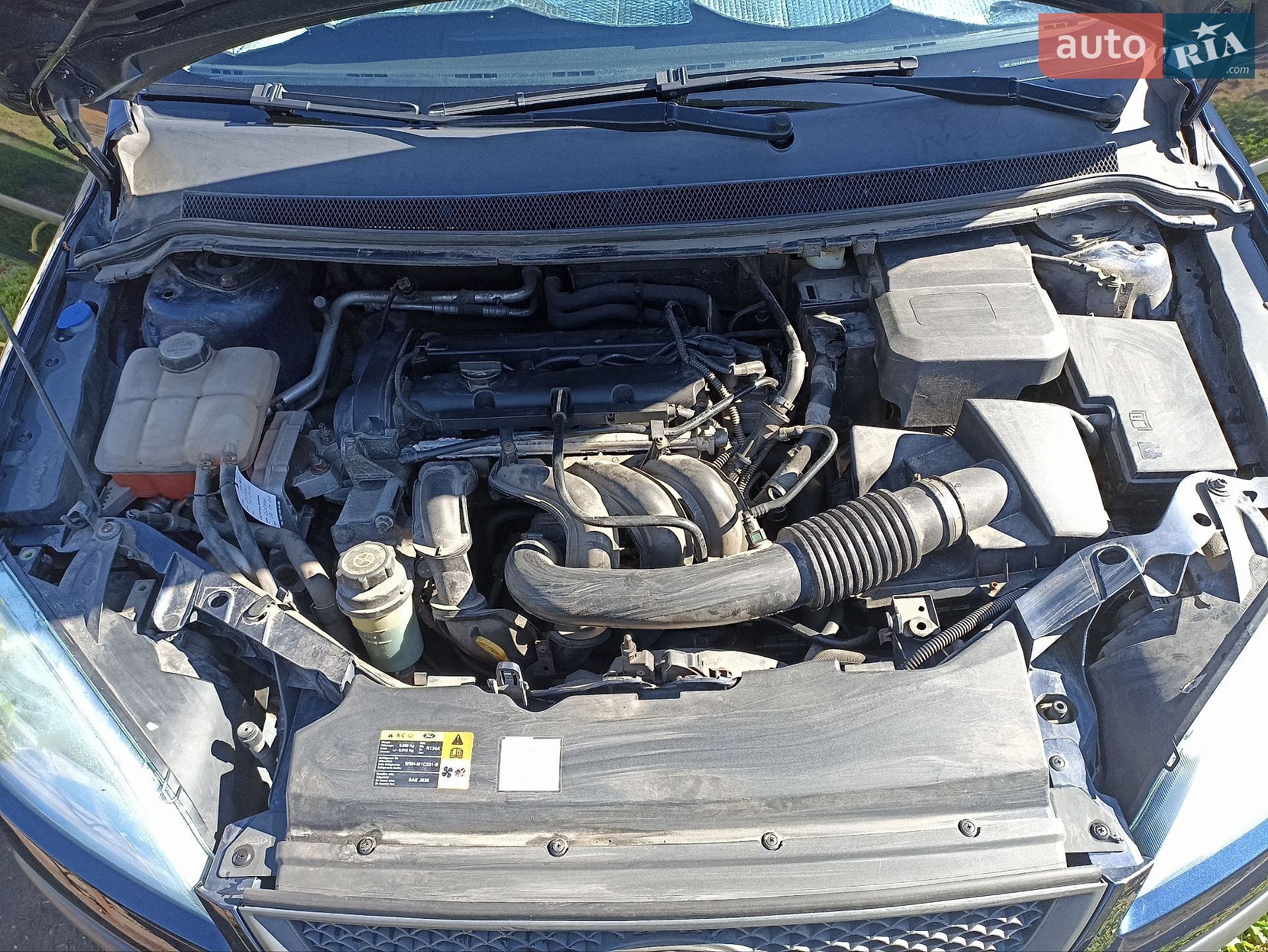 Ford Focus 2005 VIN WF05XXGCD55A64873 фото оголошення 29 з 29