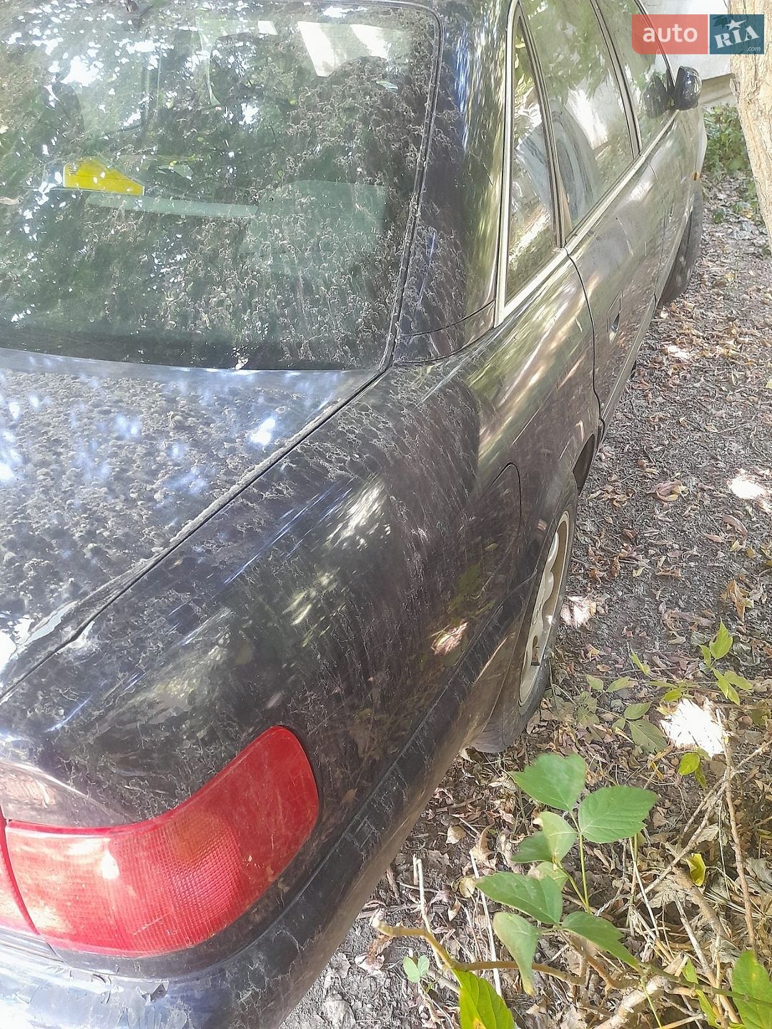 Audi A6 1997 VIN WAUZZZ4AZVN001064 фото оголошення 5 з 16