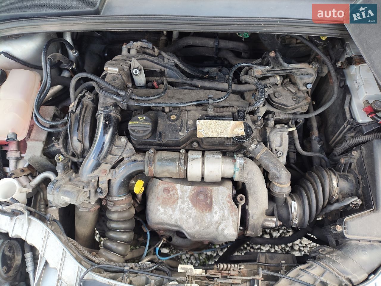 Ford Focus 2013 VIN WF0LXXGCBLDU70416 фото оголошення 5 з 16