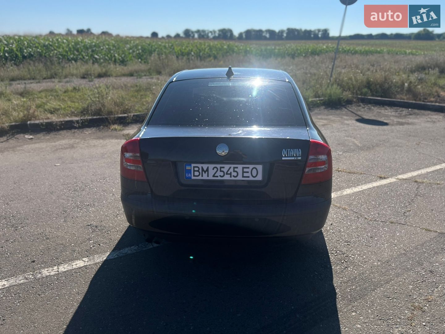 Skoda Octavia 2005 VIN TMBBD61Z868055660 фото оголошення 8 з 31