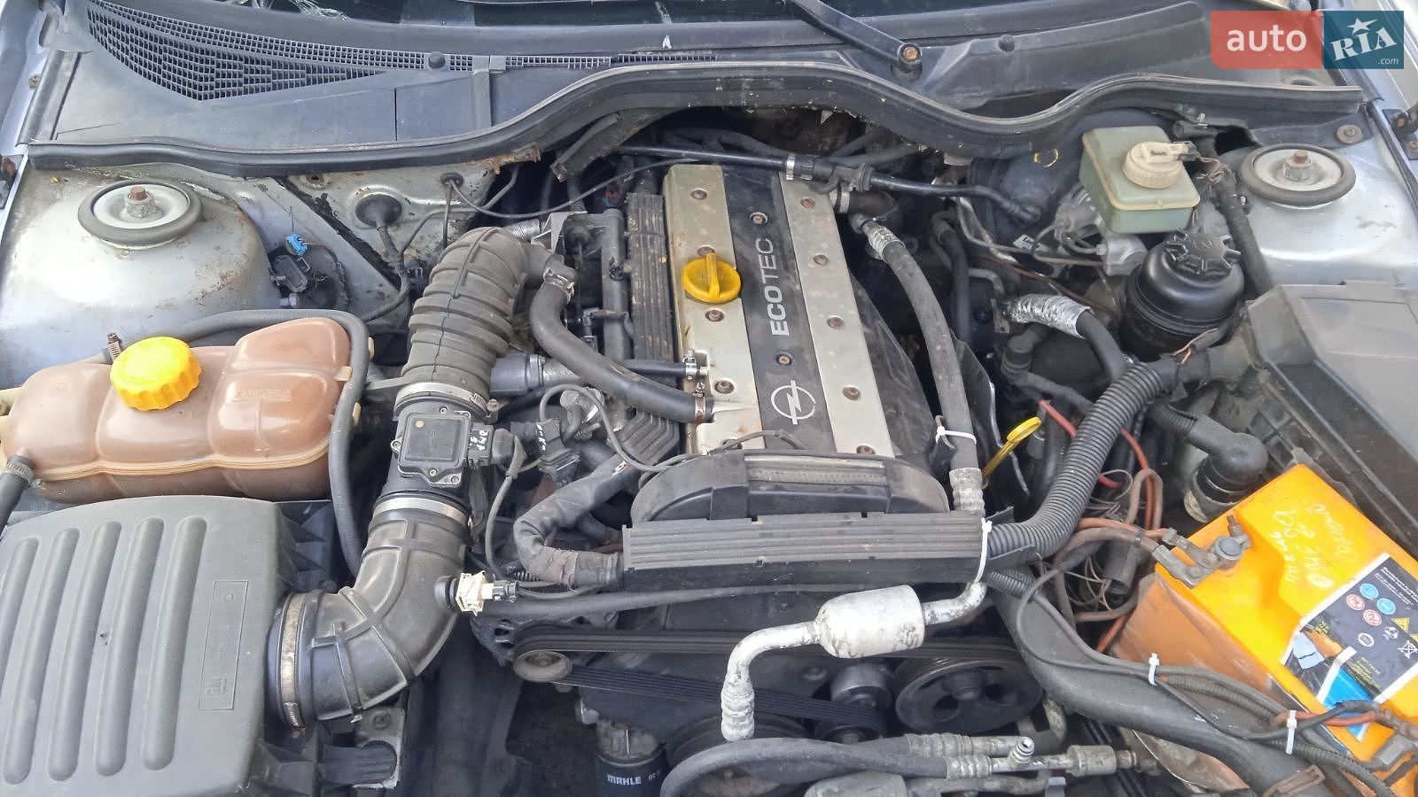 Opel Omega 1996 VIN W0L000026T1135125 фото оголошення 3 з 11