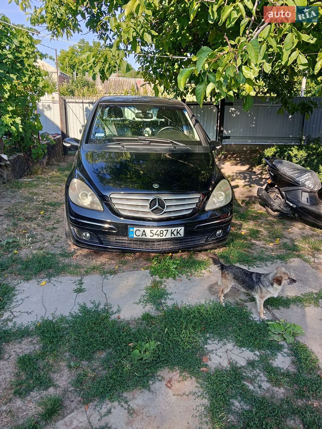 Mercedes-Benz B-Class 2005 VIN WDD2452071J052376 фото оголошення 8 з 8