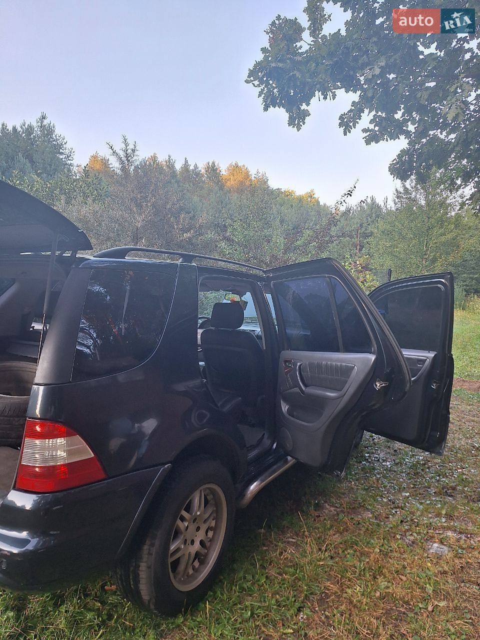 Mercedes-Benz M-Class 2002 VIN Y6D1631543A399421 фото оголошення 10 з 17