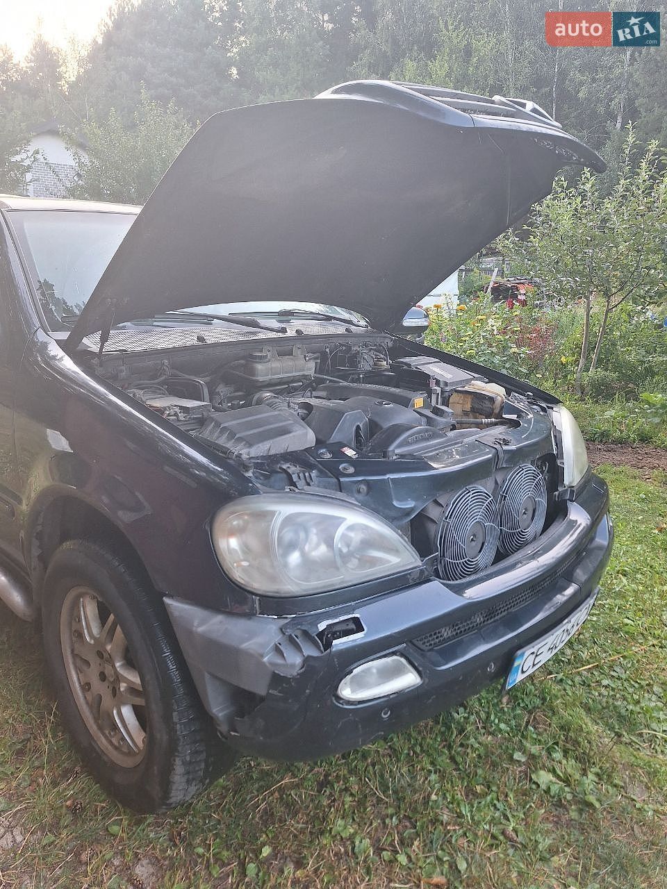 Mercedes-Benz M-Class 2002 VIN Y6D1631543A399421 фото оголошення 7 з 17