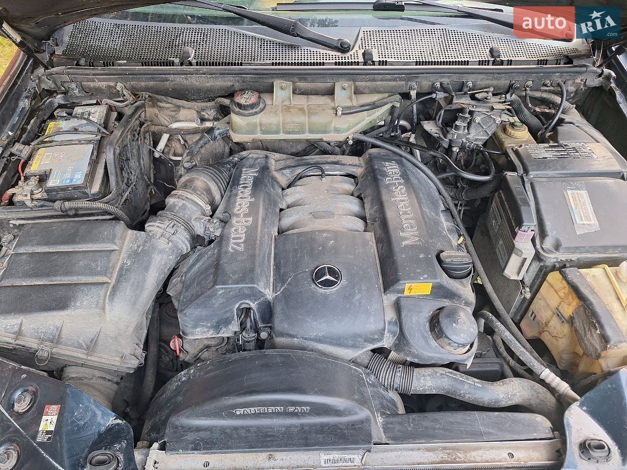Mercedes-Benz M-Class 2002 VIN Y6D1631543A399421 фото оголошення 11 з 17