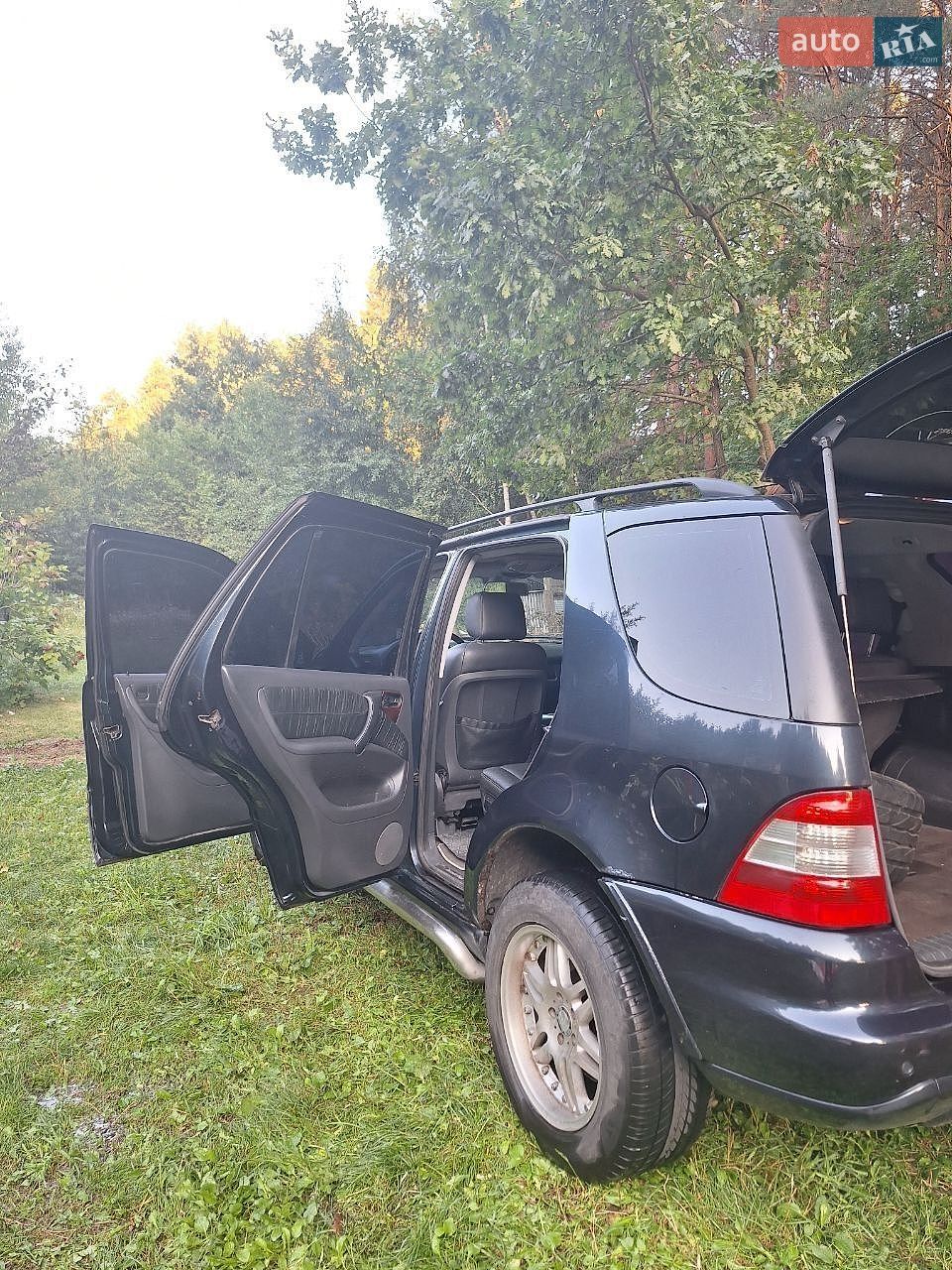 Mercedes-Benz M-Class 2002 VIN Y6D1631543A399421 фото оголошення 13 з 17