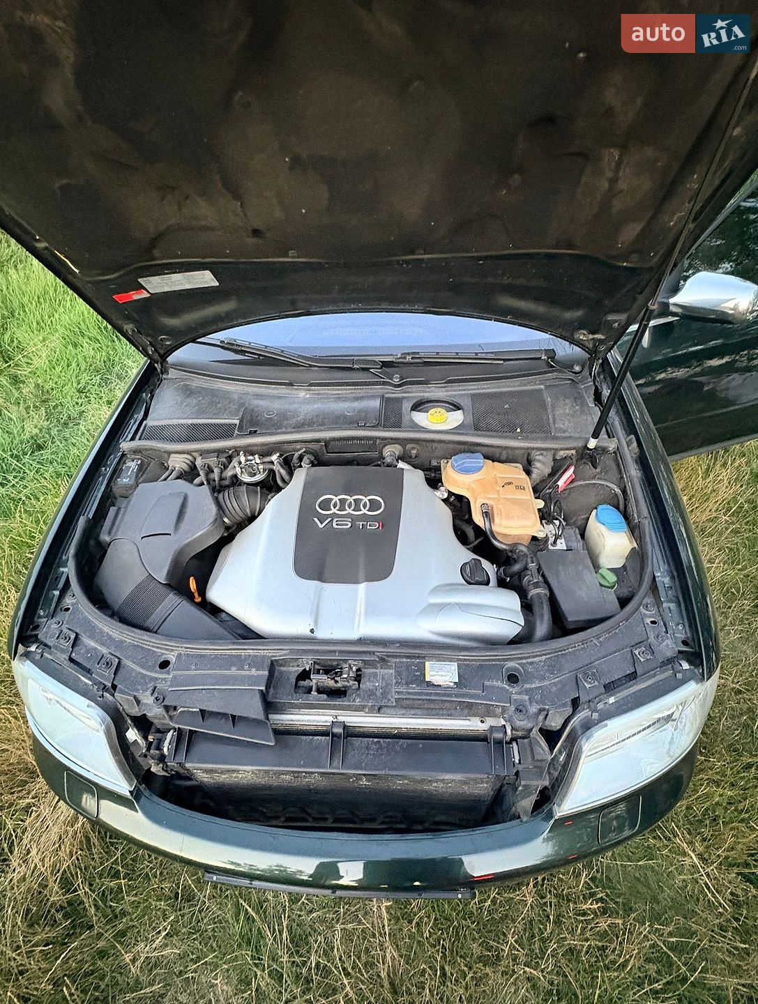 Audi A6 2001 VIN WAUZZZ4B42N016248 фото оголошення 10 з 11