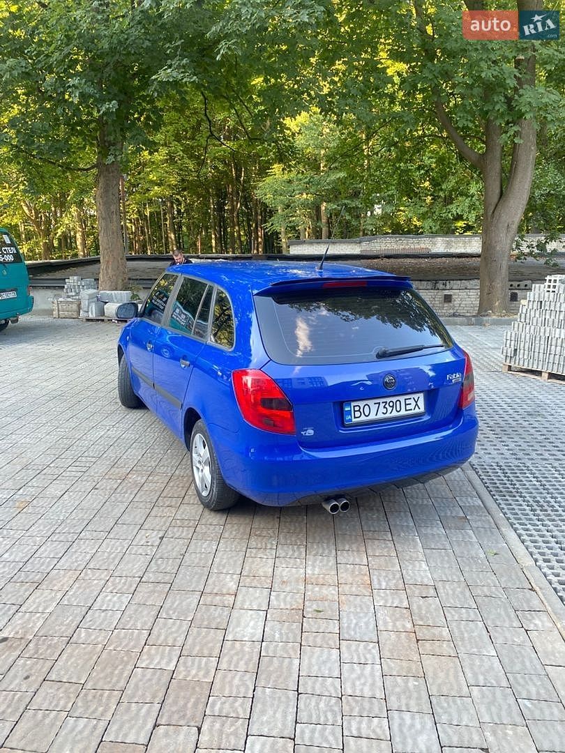 Skoda Fabia 2009 VIN TMBFH65J4A3020209 фото оголошення 5 з 12