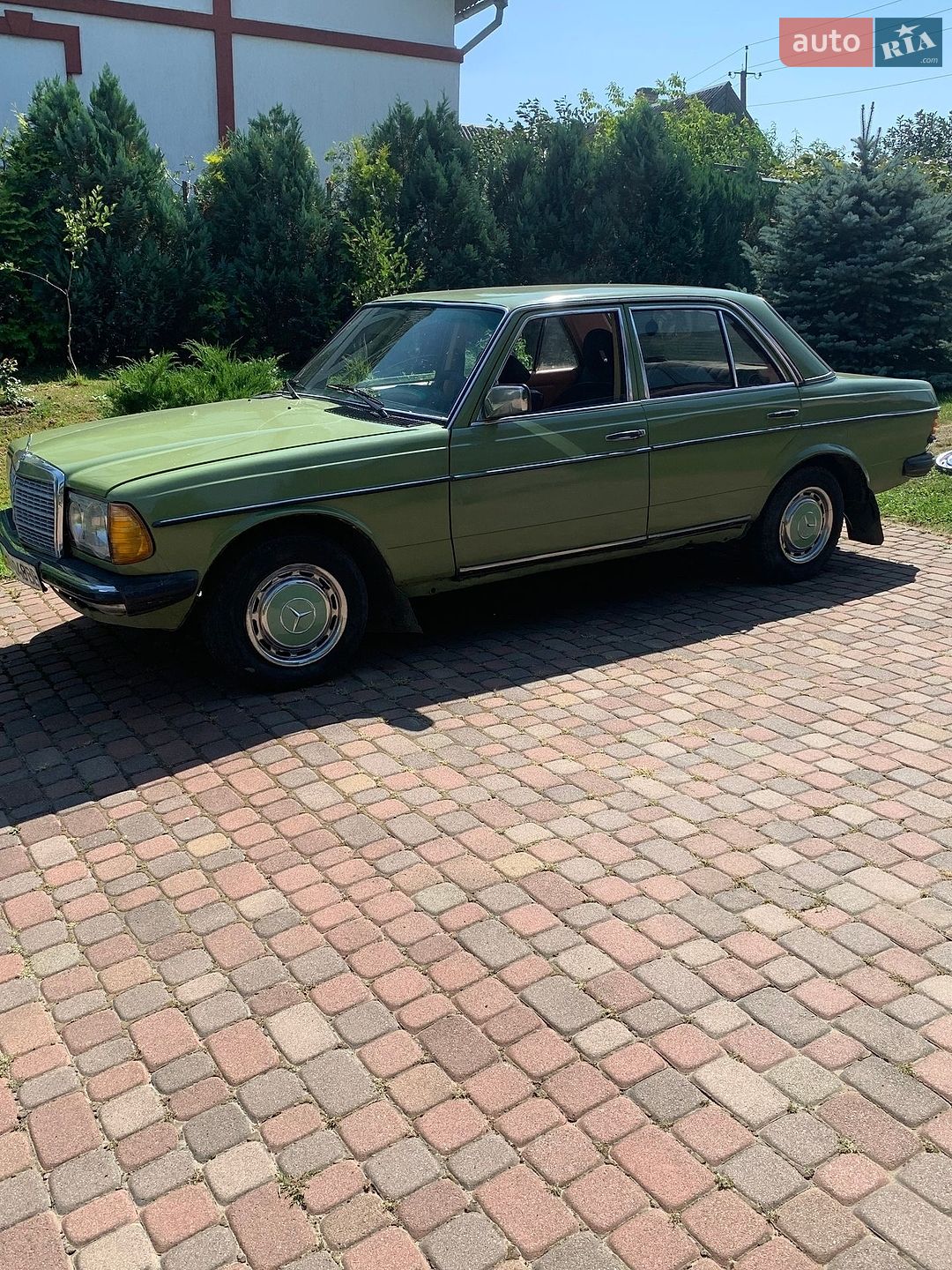 Mercedes-Benz E-Class 1981 VIN WDB12312010253213 фото оголошення 2 з 12