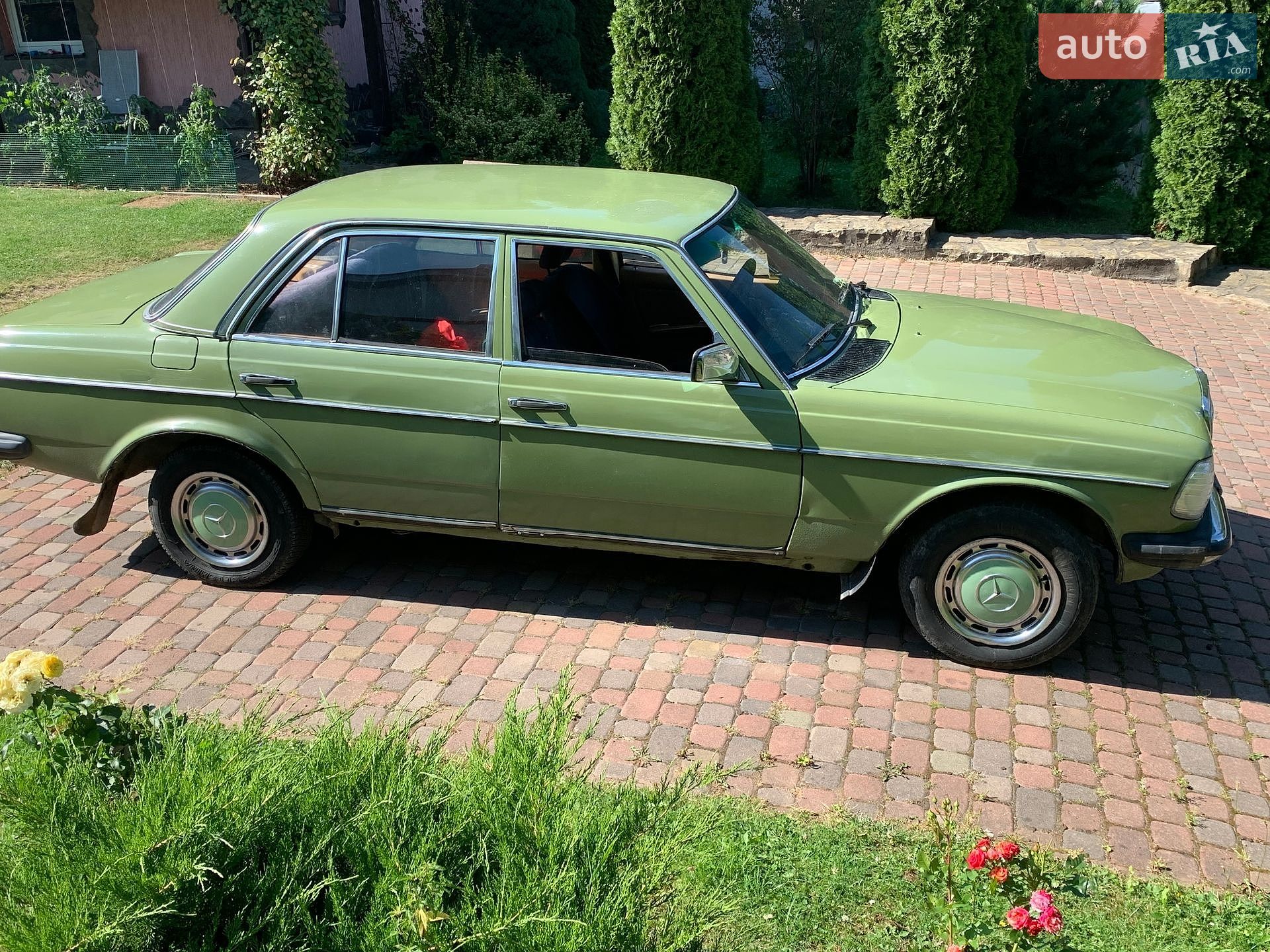 Mercedes-Benz E-Class 1981 VIN WDB12312010253213 фото оголошення 3 з 12