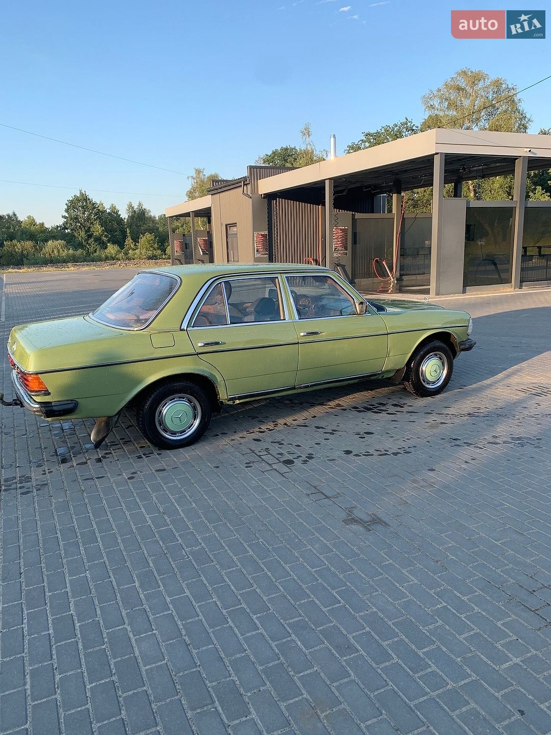 Mercedes-Benz E-Class 1981 VIN WDB12312010253213 фото оголошення 8 з 12