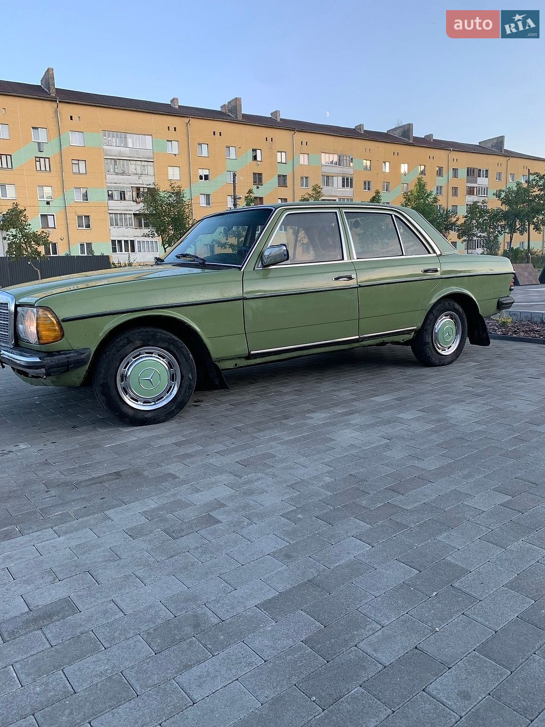 Mercedes-Benz E-Class 1981 VIN WDB12312010253213 фото оголошення 10 з 12