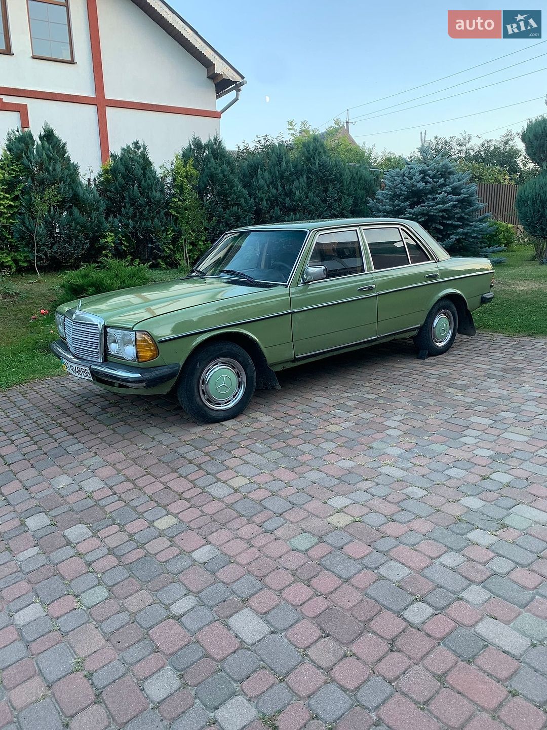 Mercedes-Benz E-Class 1981 VIN WDB12312010253213 фото оголошення 11 з 12