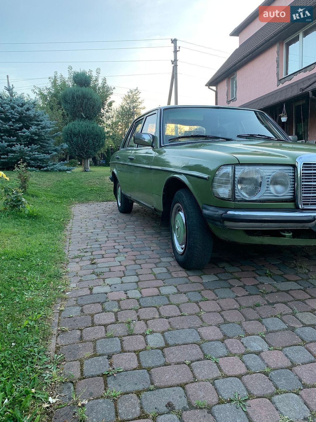 Mercedes-Benz E-Class 1981 VIN WDB12312010253213 фото оголошення 12 з 12