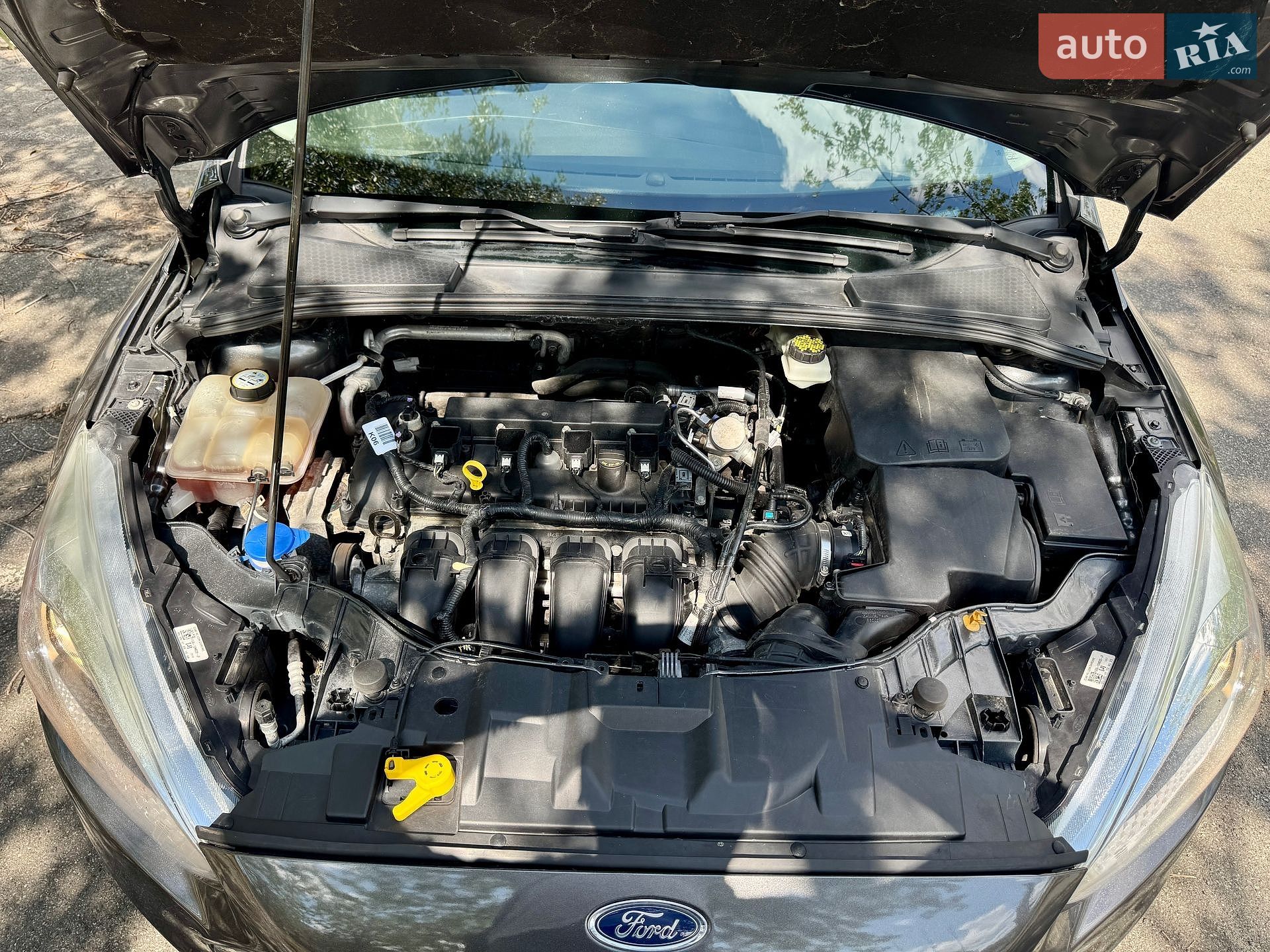 Ford Focus 2017 VIN 1FADP3F24HL300440 фото оголошення 33 з 38
