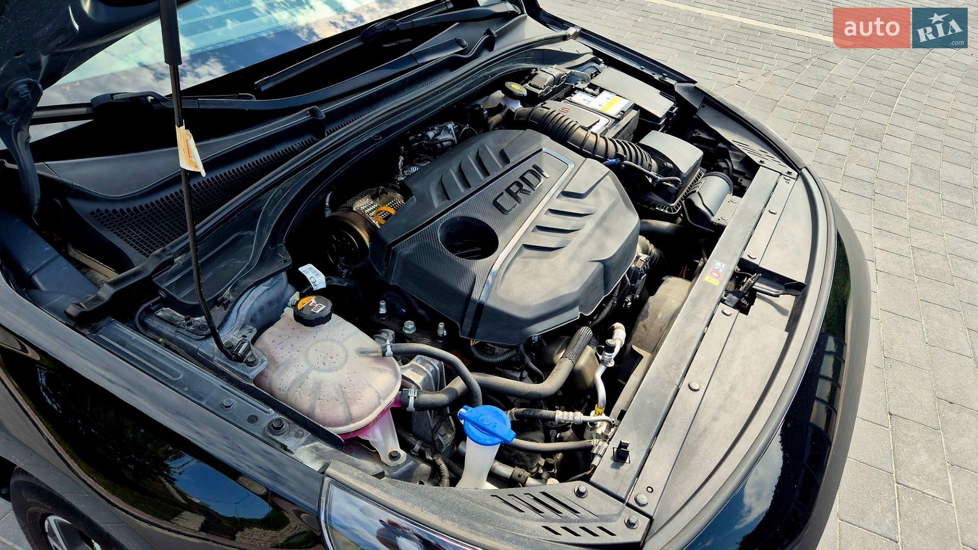 Hyundai i30 2022 VIN TMAH381AGMJ103090 фото оголошення 20 з 25