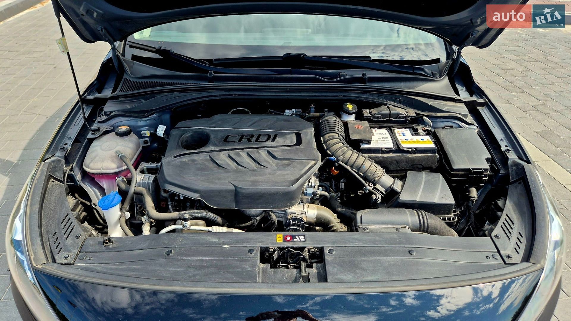 Hyundai i30 2022 VIN TMAH381AGMJ103090 фото оголошення 21 з 25