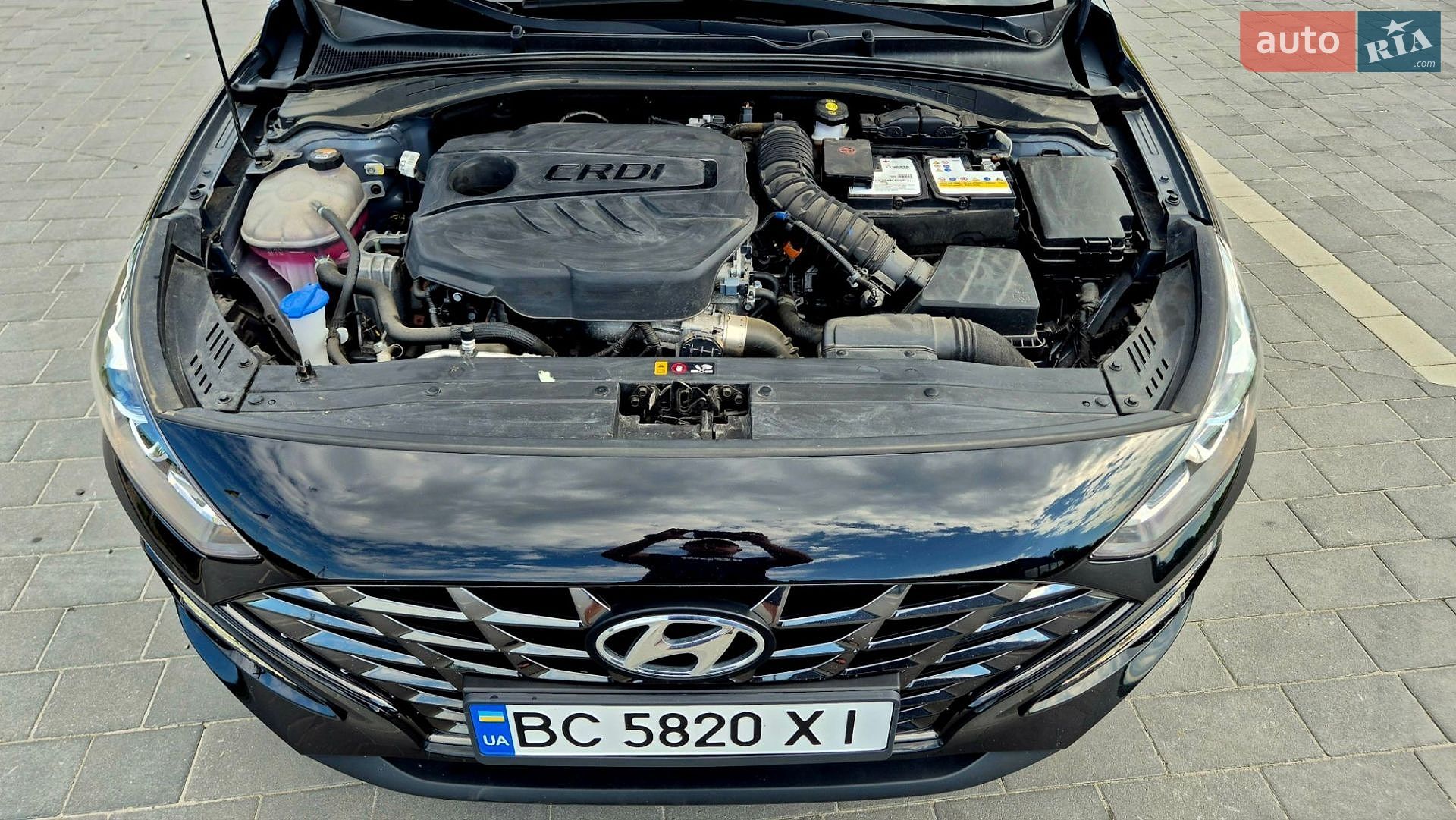 Hyundai i30 2022 VIN TMAH381AGMJ103090 фото оголошення 23 з 25