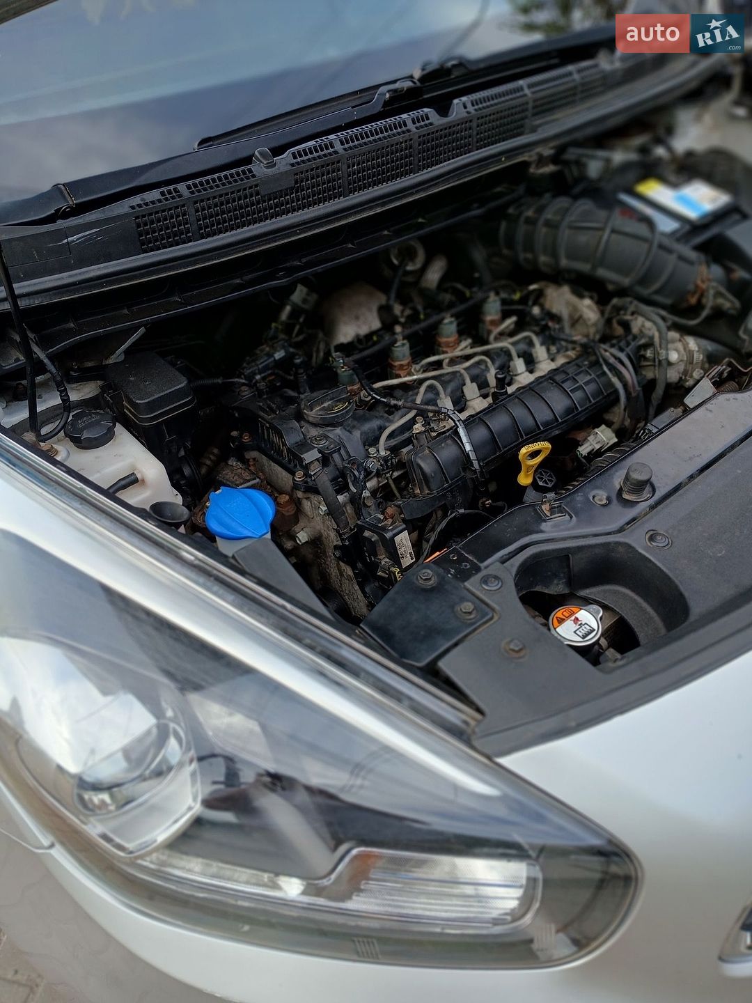 Kia Carens 2013 VIN KNAHT815AE7021305 фото оголошення 21 з 30